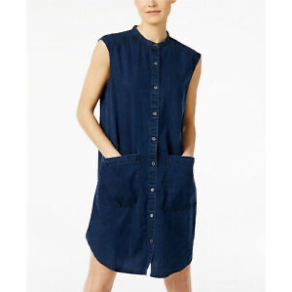 Eileen Fisher sleeveless chambray dress
